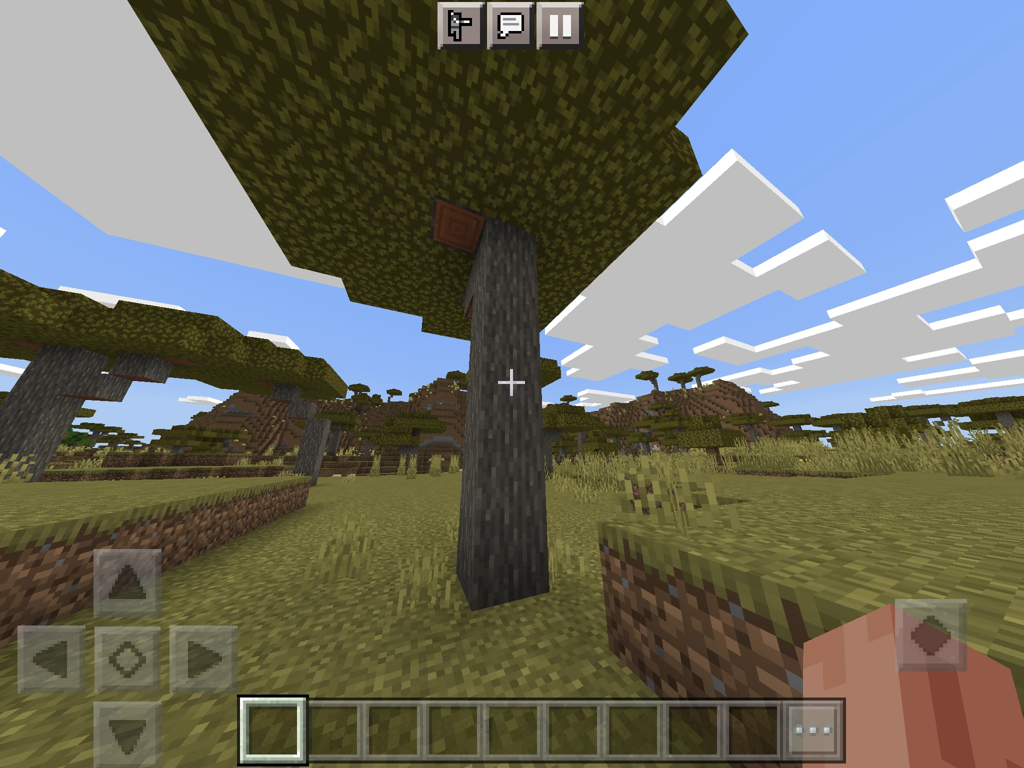 Minecraft Acacia Wood