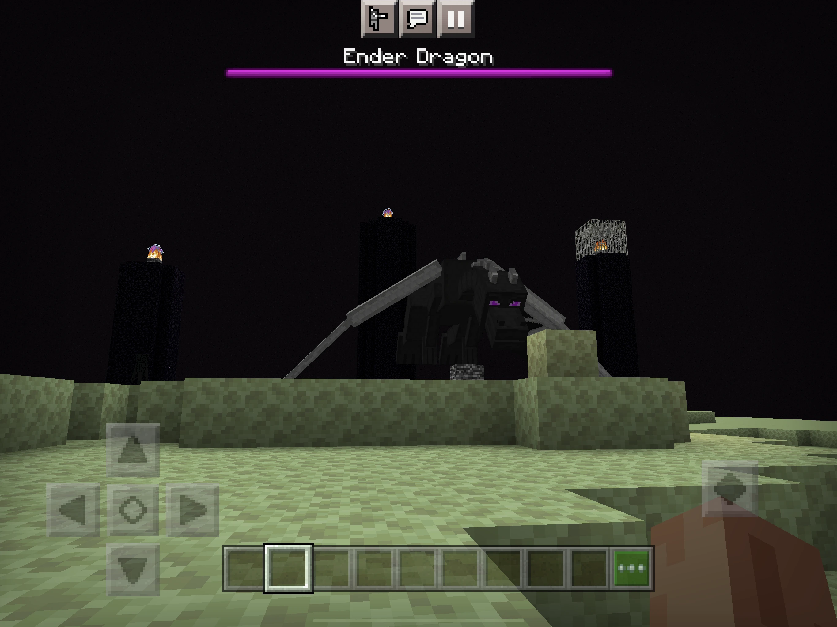 Minecraft Defeat Ender Dragon