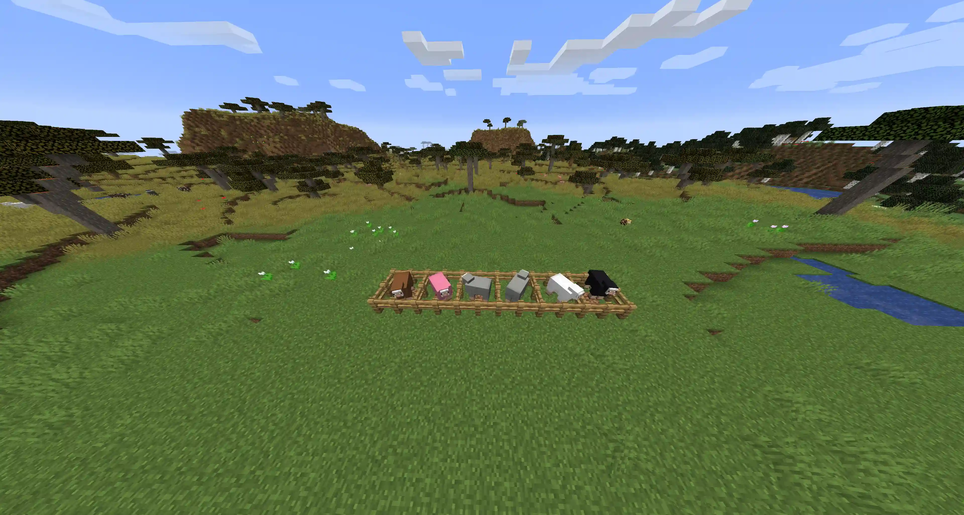 How rare is a pink sheep in Minecraft?