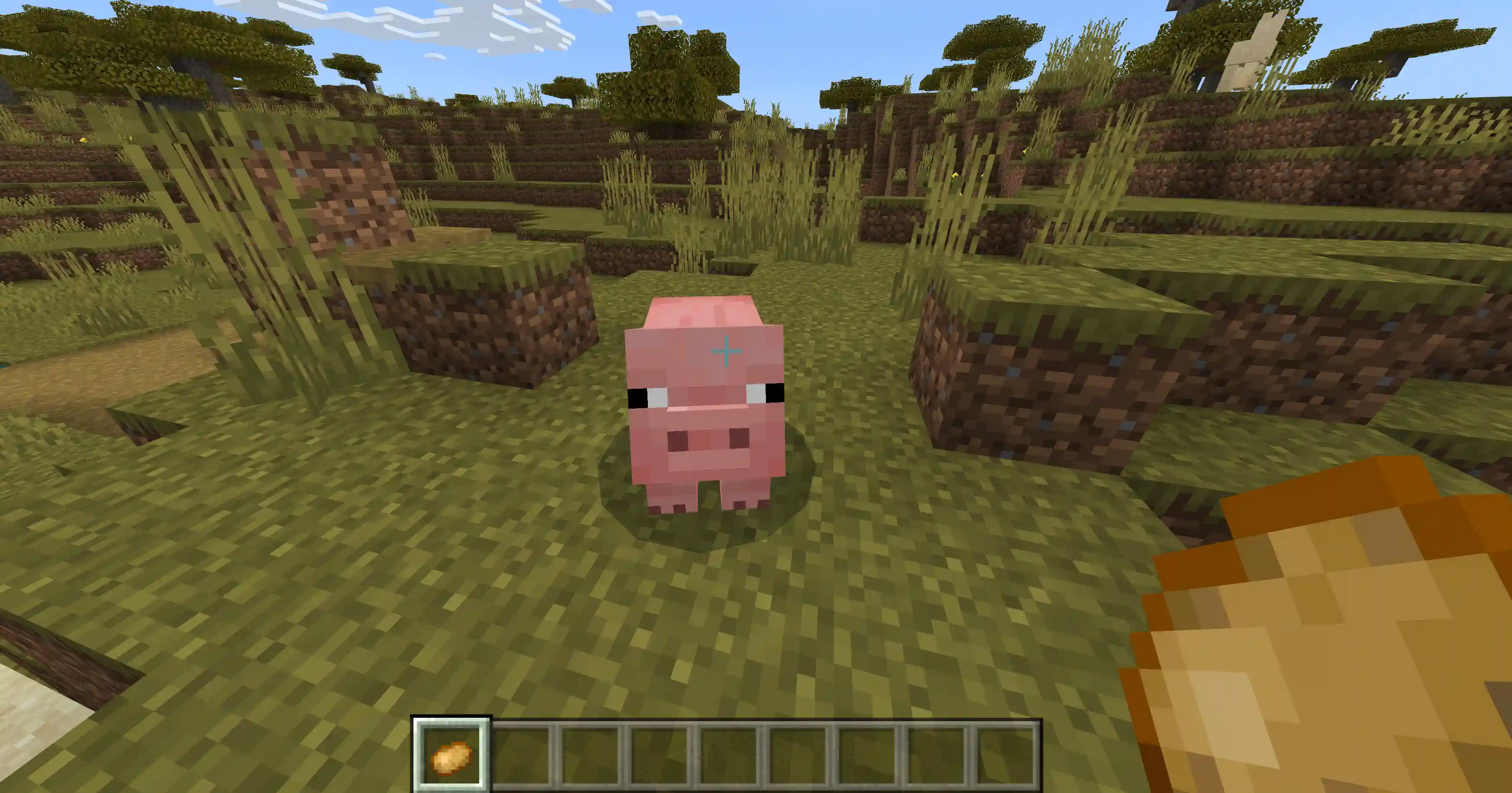 Minecraft Poisonous Potato