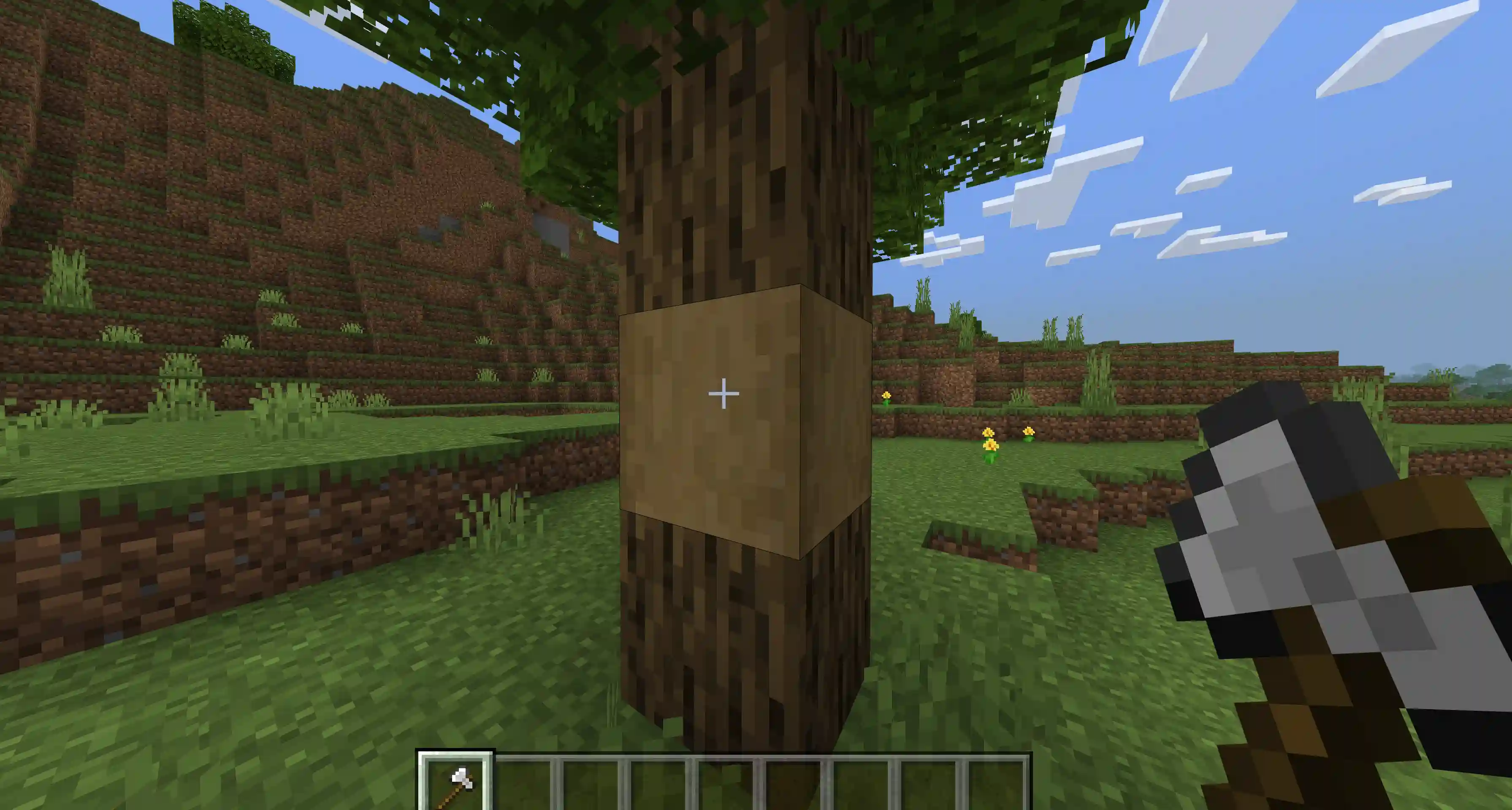 Minecraft Stripped Wood