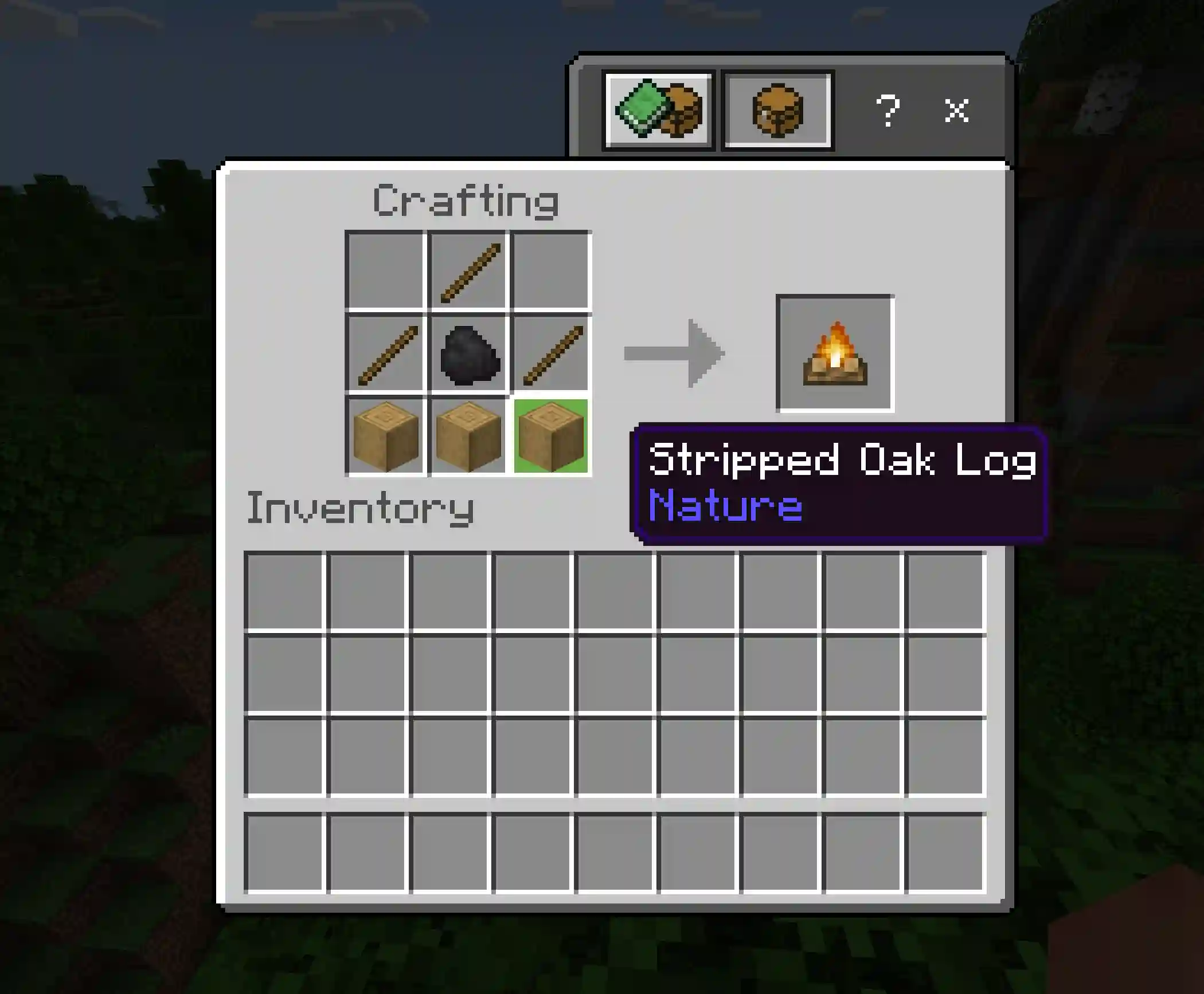 Minecraft Stripped Wood
