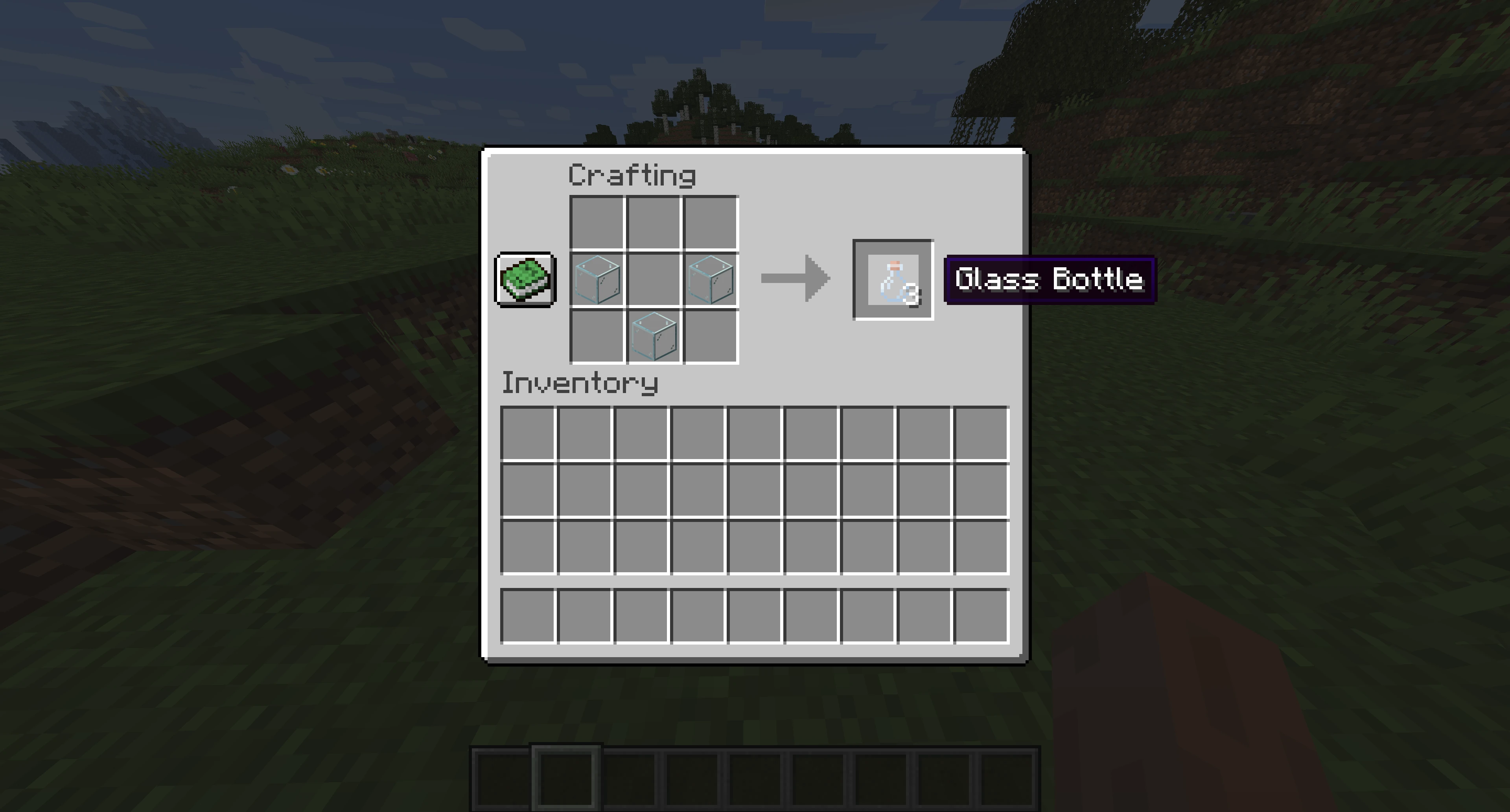 Minecraft Bottle