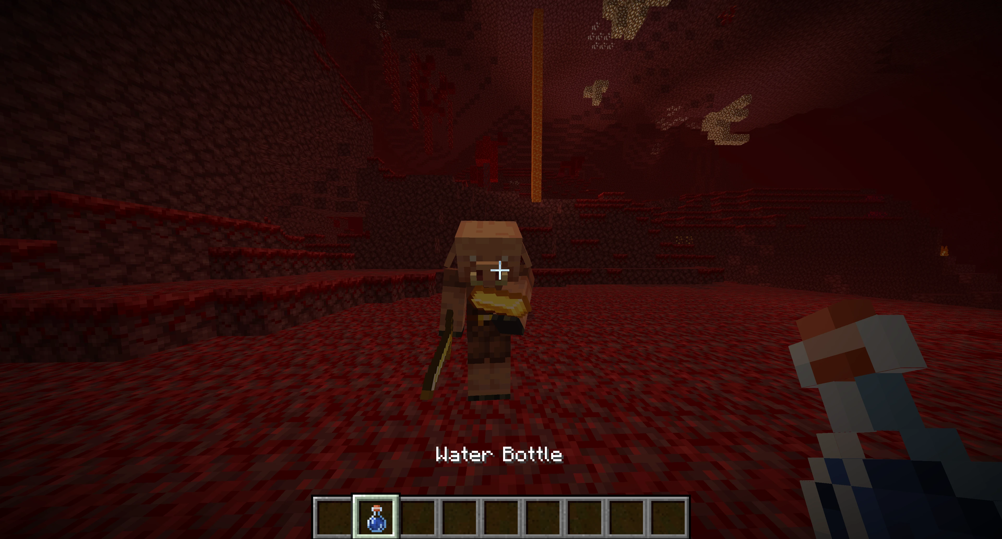 Minecraft Bottle