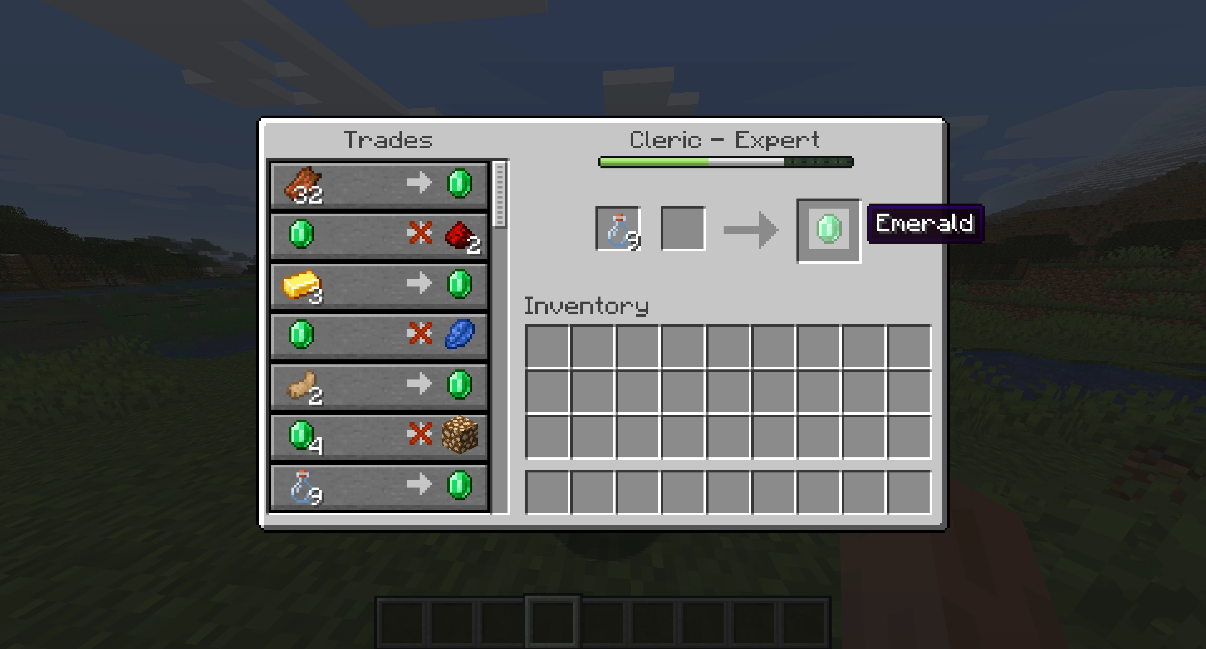 Minecraft Bottle