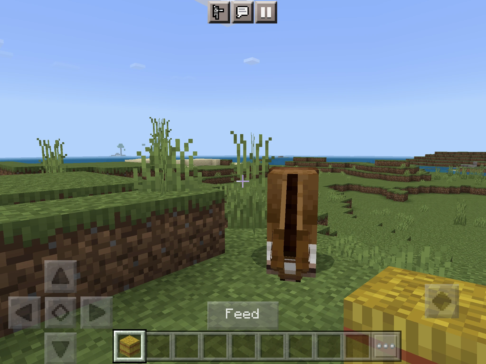 What do Horses Eat in Minecraft?