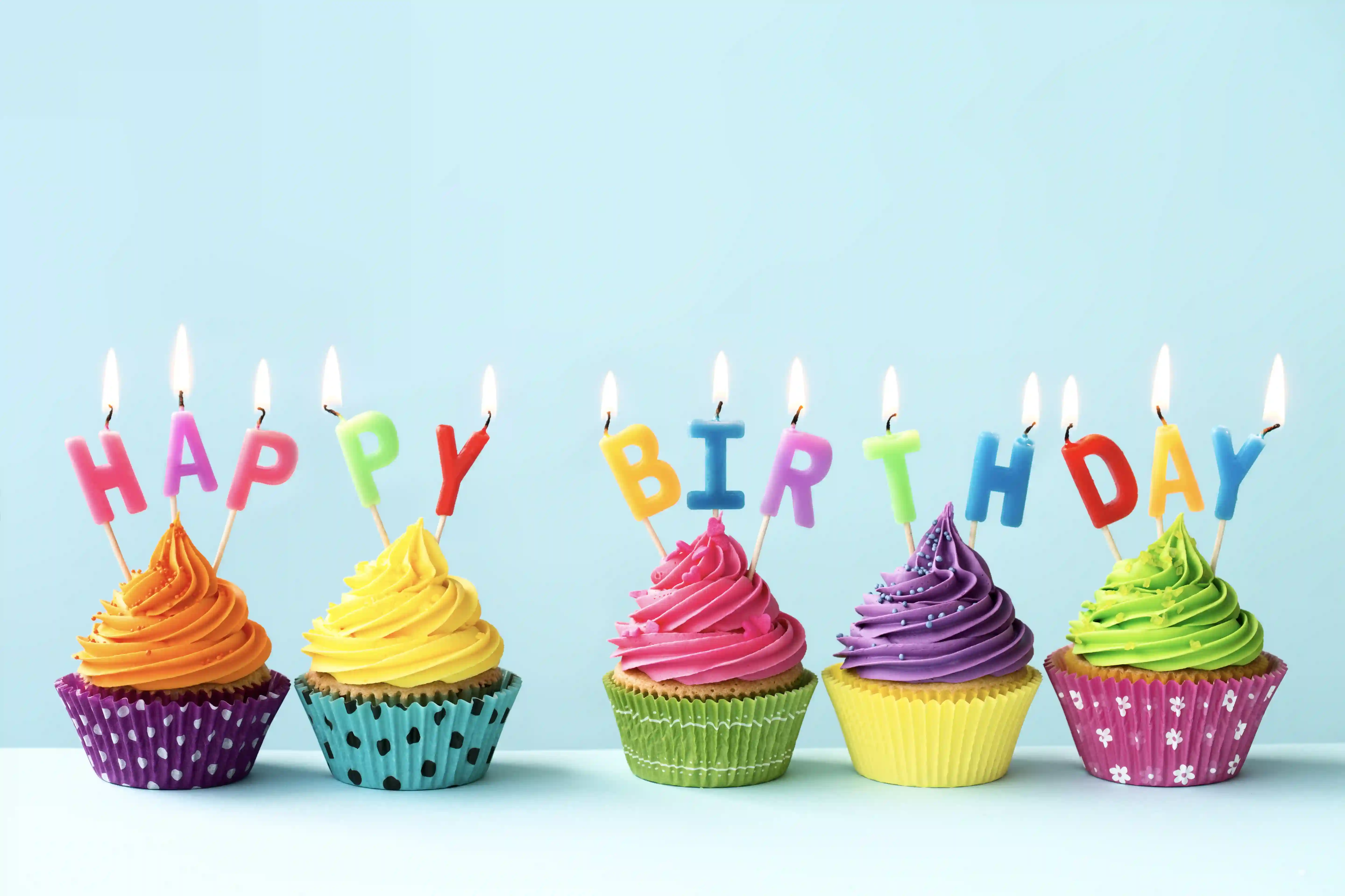 Birthday Paradox Calculator
