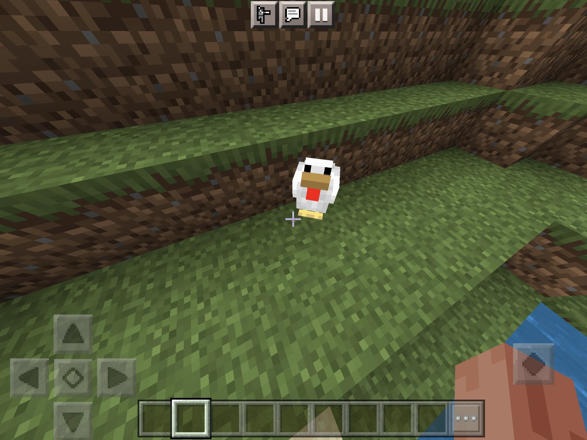 What do chickens eat in Minecraft?