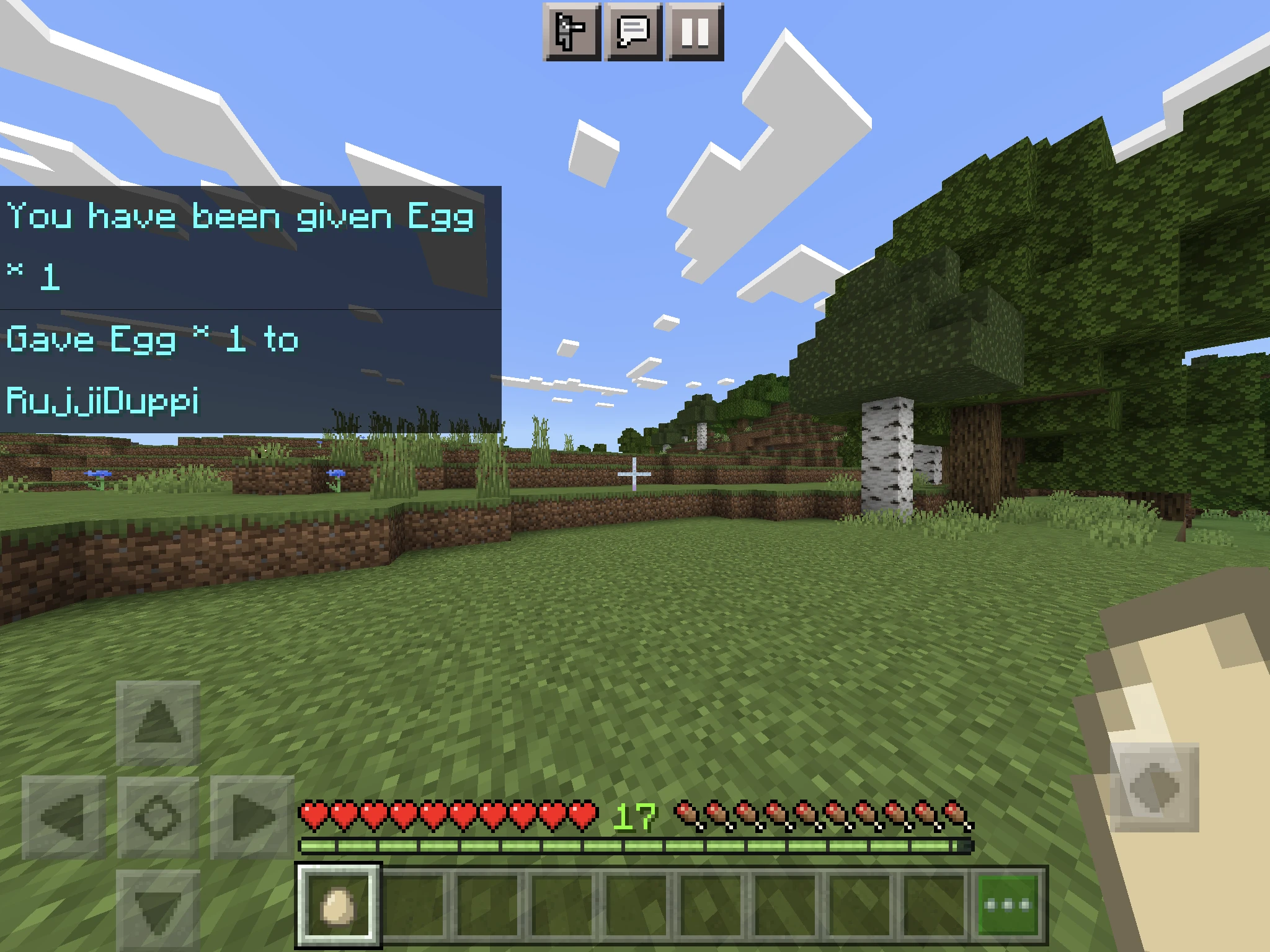 What do chickens eat in Minecraft?